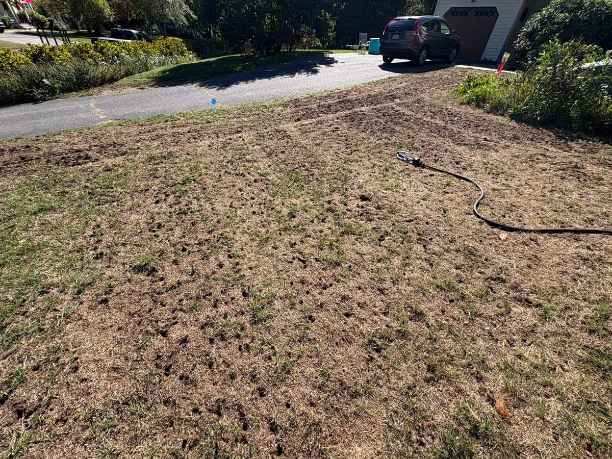 Lawn after aeration, dethatching, and overseeding — seed visible across prepared soil