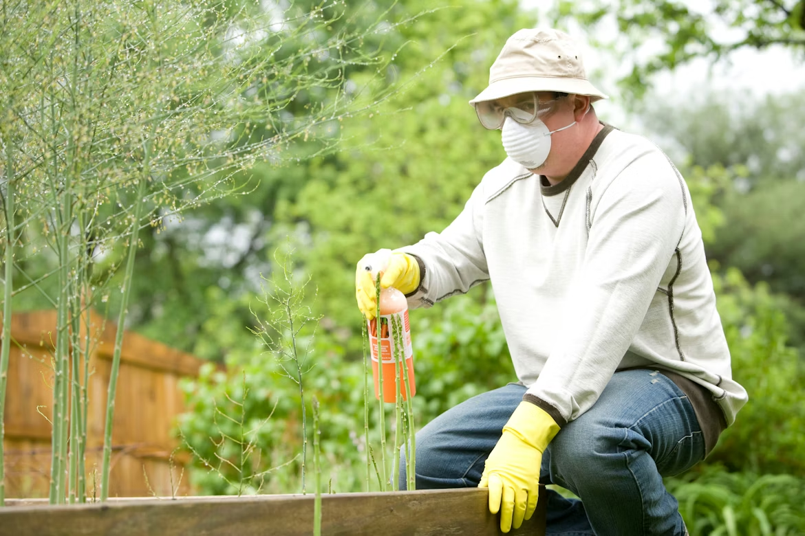 Professional applying pest control treatment in garden