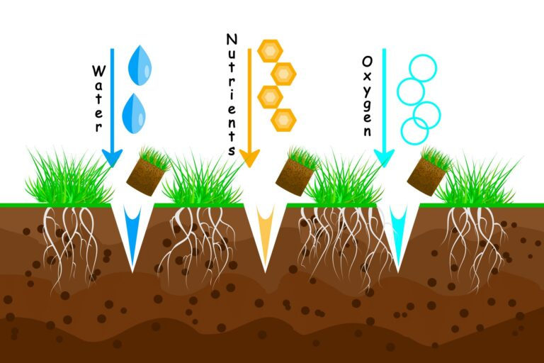 Illustration showing water, nutrients, and oxygen reaching grass roots in soil