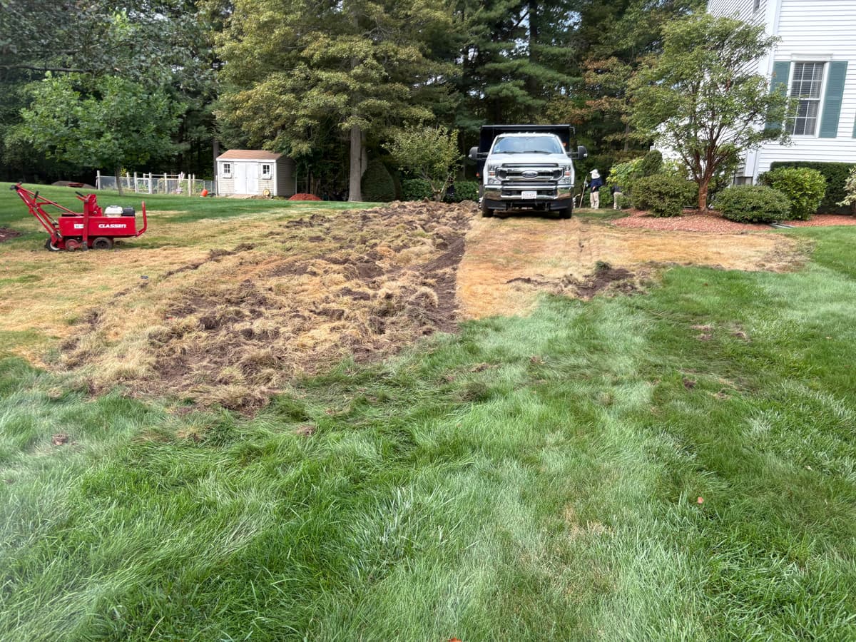 Using sod cutter to rip up old dead grass — September 23