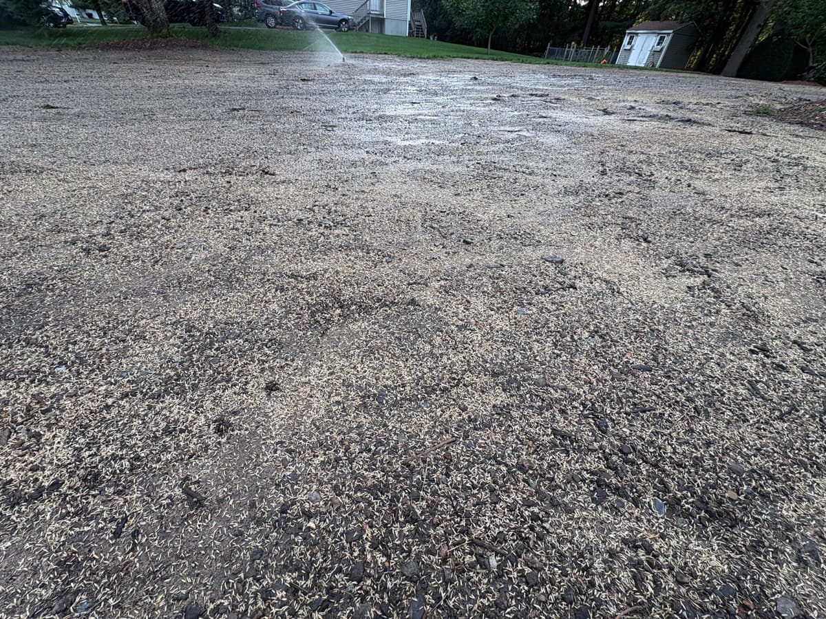 Ample seed application — New England Mix with Kentucky Blue, Fescue, and Perennial Rye Grass — September 27