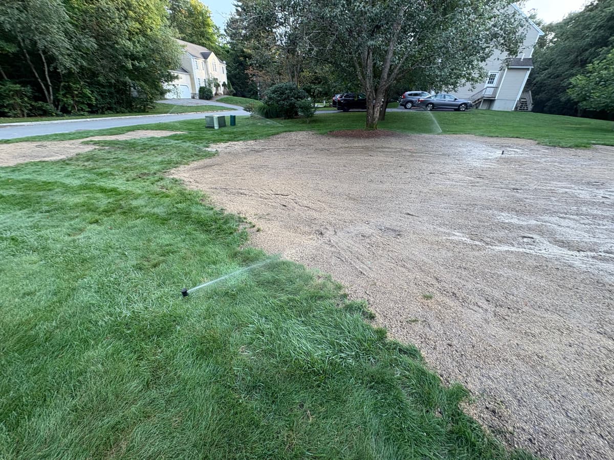 Regular watering to keep soil wet for seed germination