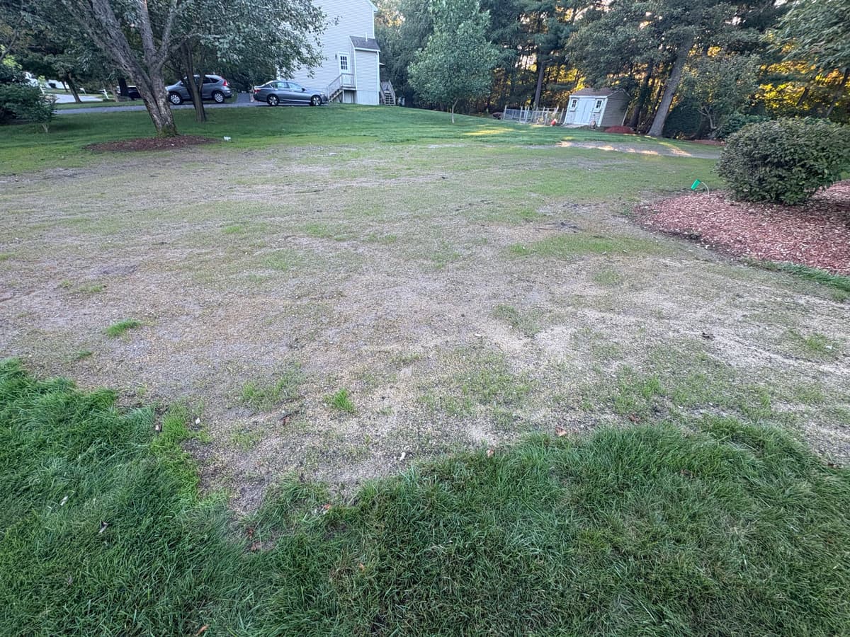 Early germination visible — September 29