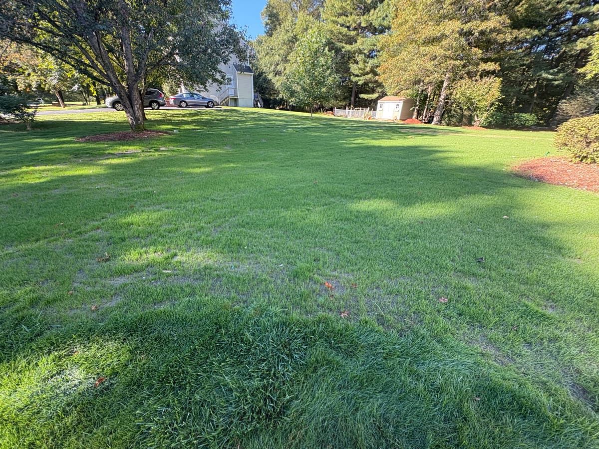 New seed emerging with visible green growth — October 10