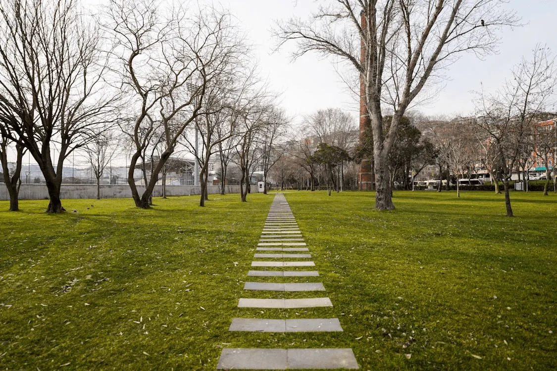 Park lawn with stepping stone path and bare winter trees