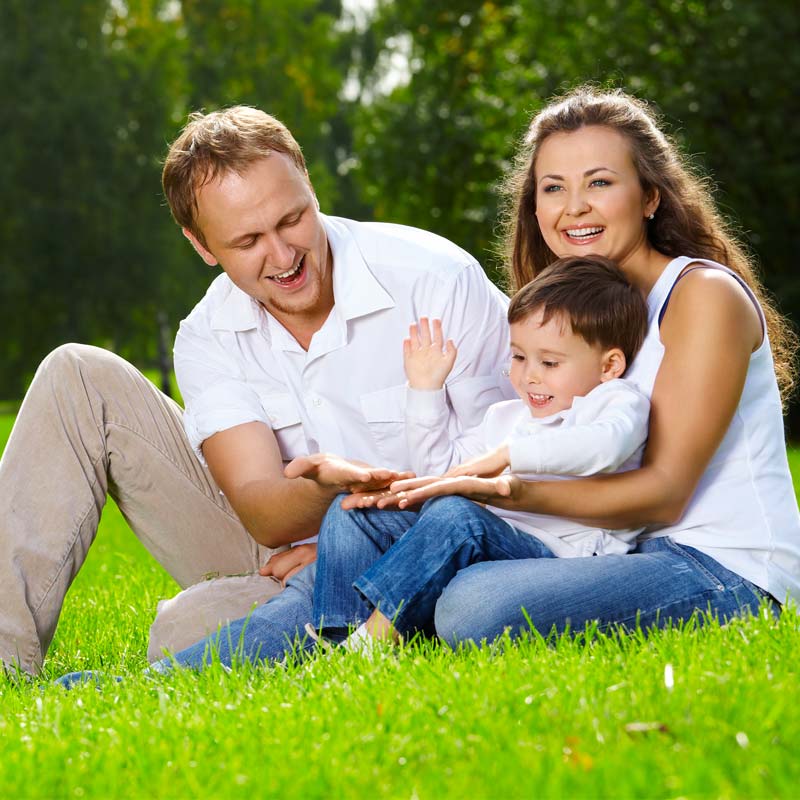lawn fertilizer service happy family on beautiful lawn lawn care