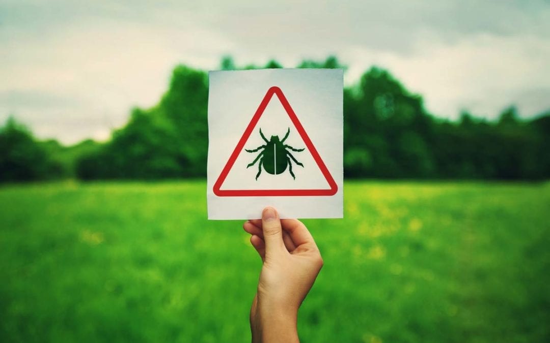 Ticks are dangerous, but there are ways to protect yourself. Ask us about our tick control program.