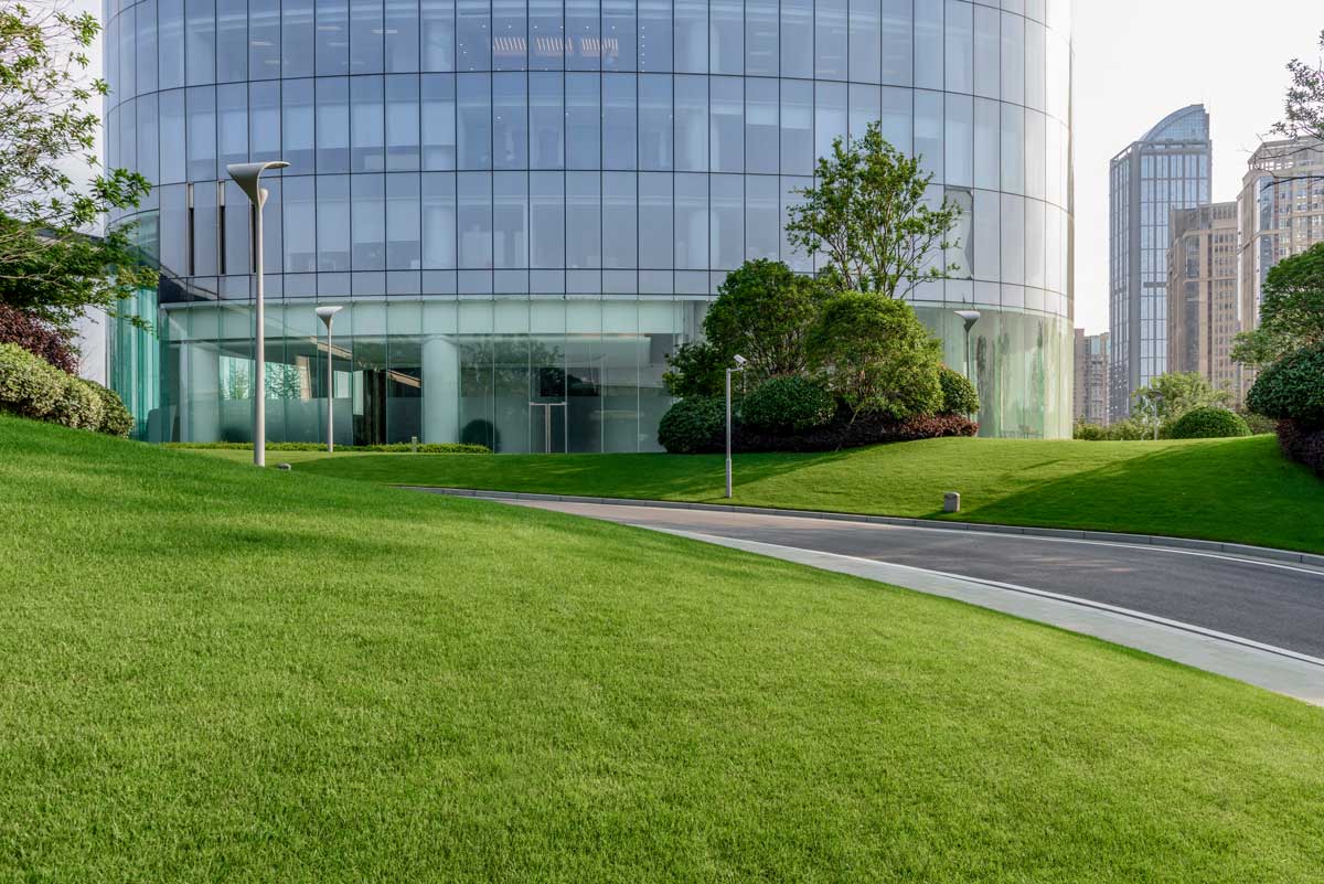 green lawn with office building in back